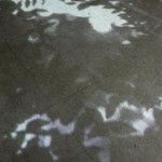 http://i3rgwmv56dilib9l.lightizm.com/files/gimgs/th-76_71_Nostalgia1_v2.jpg